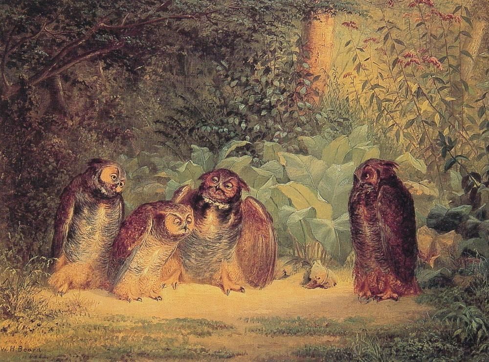 William Beard Owls